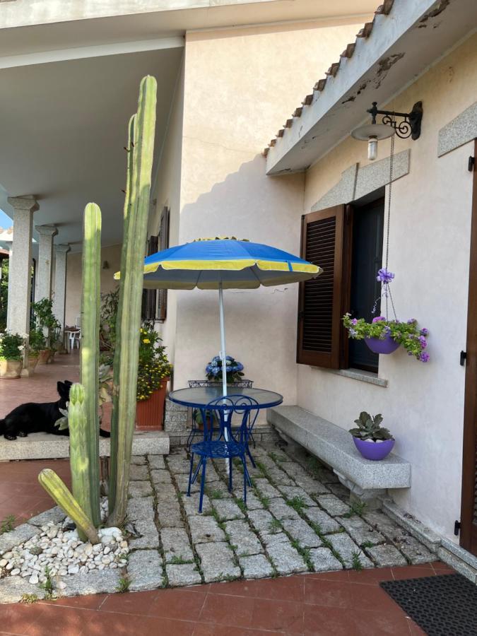 Villa Iris Iglesias Dış mekan fotoğraf